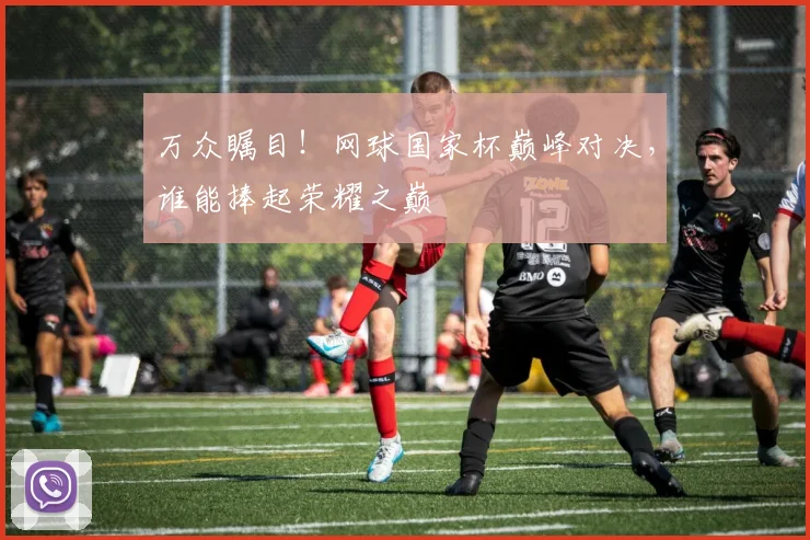 万众瞩目！网球国家杯巅峰对决，谁能捧起荣耀之巅