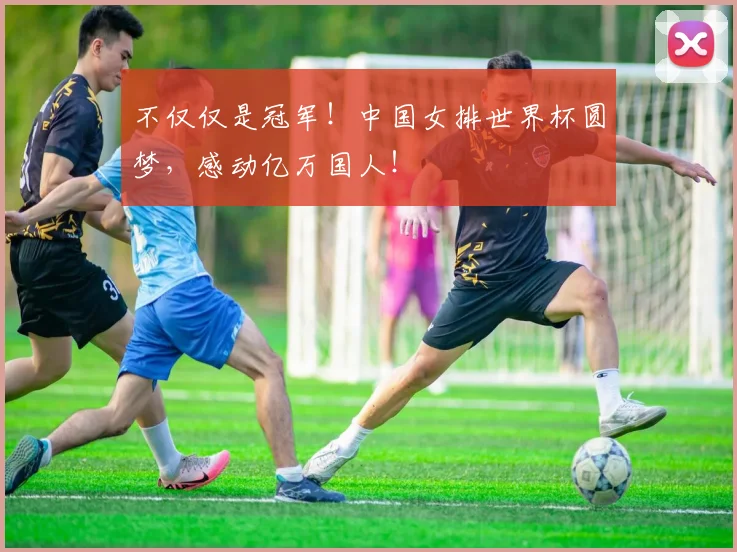 不仅仅是冠军!中国女排世界杯圆梦,感动亿万国人!