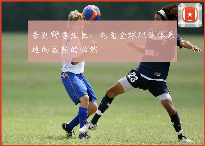 告别野蛮生长,电竞全球职业体系迈向成熟的必然